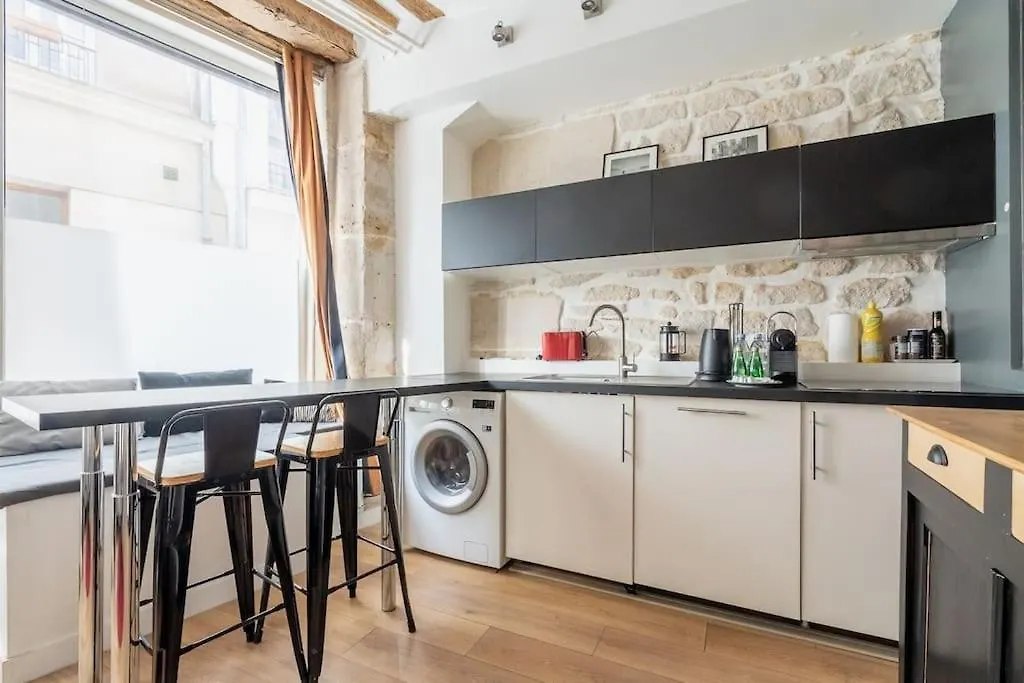 La Serenite Parisienne Apartment Paris